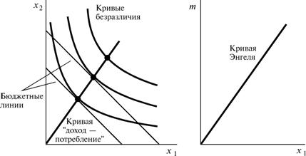 Кривая b